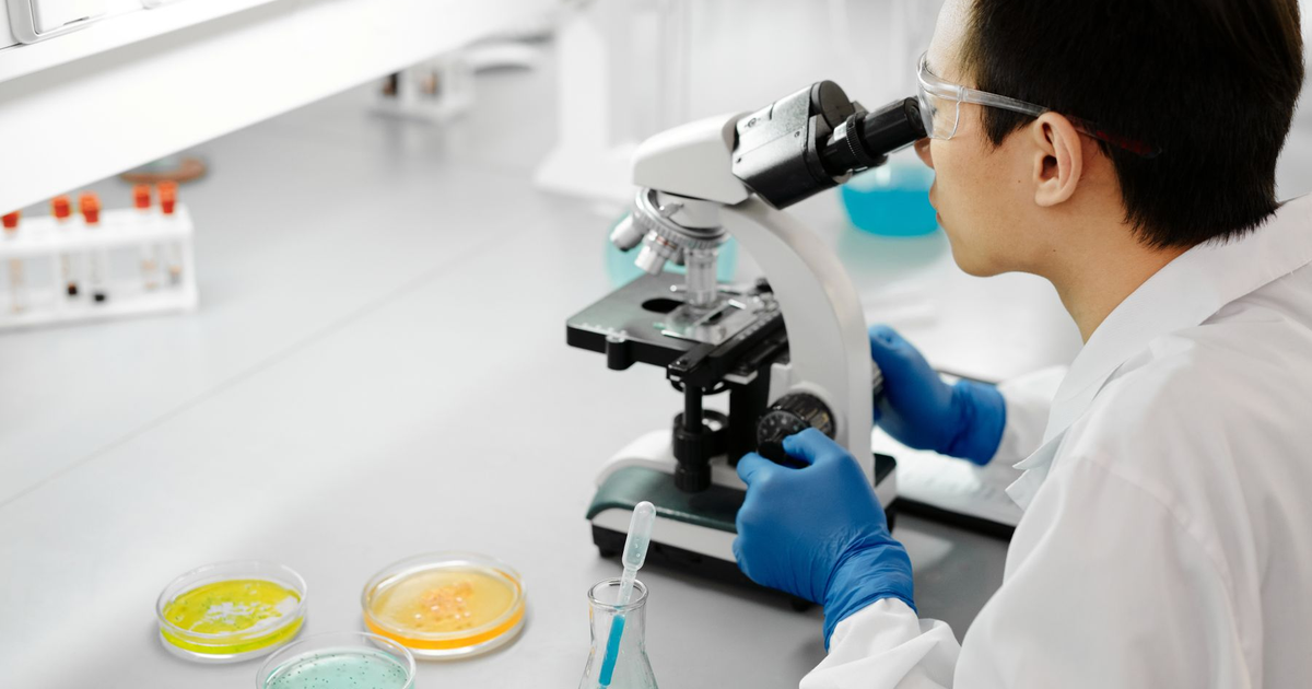 A scientist looks through a microscope in a laboratory.
