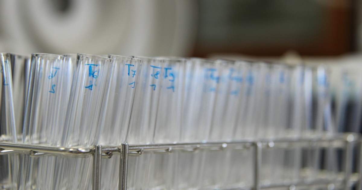 Photo: Nathan Rimoux / Unsplash (Unsplash License) A row of clear laboratory tubes in a metal rack.